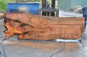 041719-03 Big Leaf Maple Slab