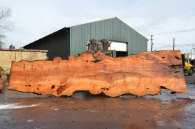 Big Leaf Maple Slab 032522-03